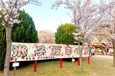 2023年米子の桜の名所！湊山公園「米子桜まつり」に行ってきました😊
