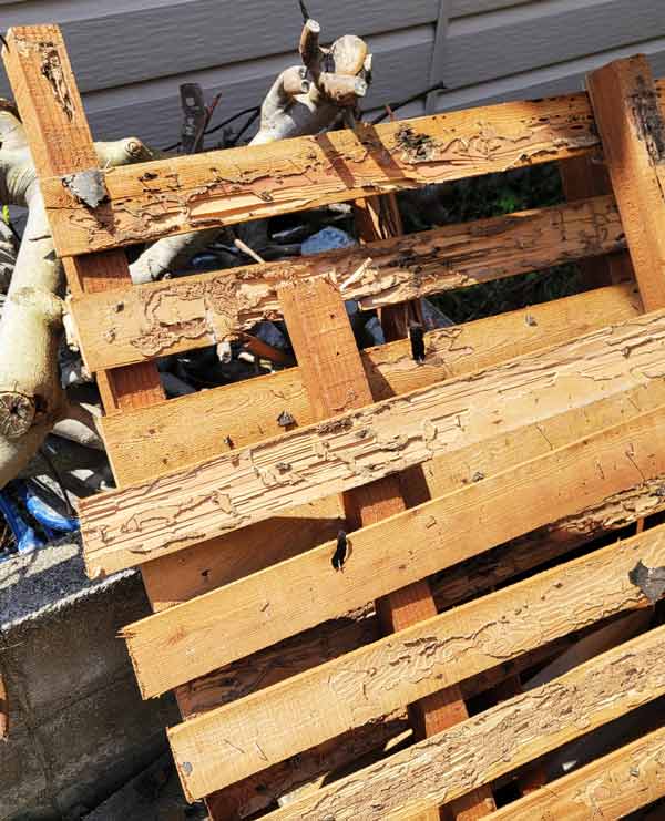 米子市O様邸水回りリフォーム施工中